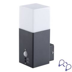 Buitenlamp Vadra - Muurlamp - Sensor - losse E27 - Rechthoek | MP230026