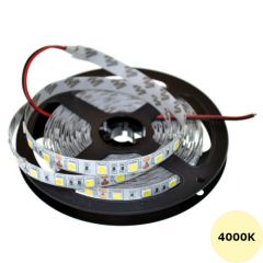 LED Strip 12V - Wit - 4000K - IP65 - 60xSMD2835/m - 5m - Losse strip | MP210102 | <ul class="list-style -check">
<li>Wit (4000K)</li>
<li>Per 10 cm inkortbaar</li>
<li>14,4W/m, 450Lm/m</li>
</ul>