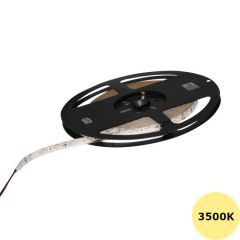 LED Strip 12V - Wit - 3500K - 10W/m - 300 SMD5050 - 5 meter - IP65 | MP210103 | <p>Losse strip</p>