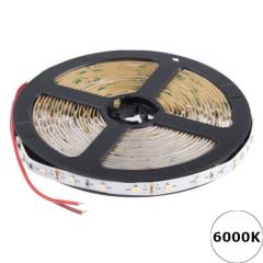 LED Strip 12V - Koelwit - 6000K - IP20 - 300xSMD2835/m - 5m - Losse strip | MP210109 | <ul class="list-style -check">
<li>Koelwit (6000K)</li>
<li>Per 5 cm inkortbaar</li>
<li>4,8W/m, 800Lm/m</li>
</ul>