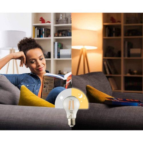loyaliteit Reproduceren Geef rechten LED E27 Filament lamp met schemersensor - A60 - 4,2W - 2700K | MEIPOS LED  verlichting