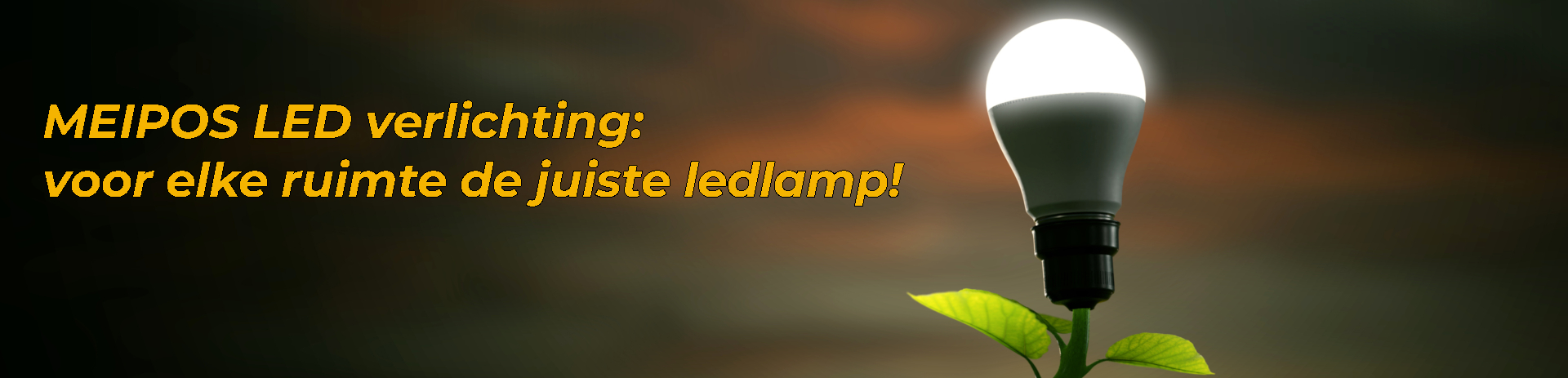 MEIPOS LED verlichting: voor elke ruimte de juiste ledlamp!